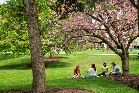 students convene on a lawn in spring